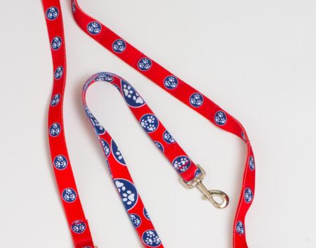 A red and blue dog leash with a white handle.