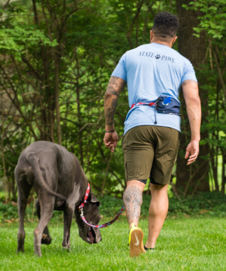 A man walking his dog in the woods