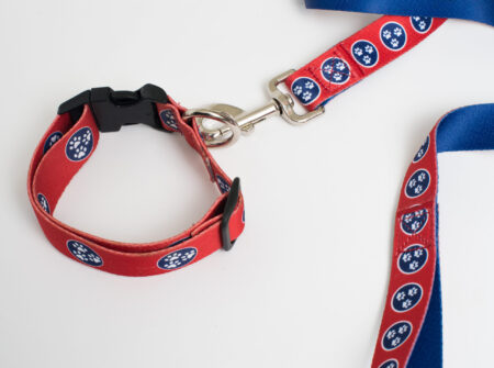 A red and blue dog collar with a leash.