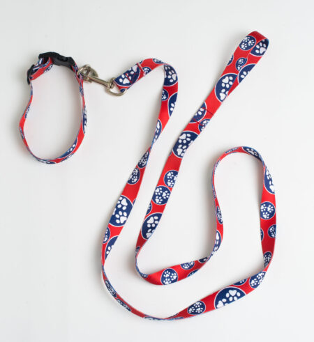 A red, white and blue leash with a dog collar.