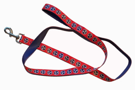 A red leash with blue and white flowers on it.