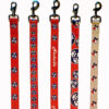 5 different leashes final Pinterest
