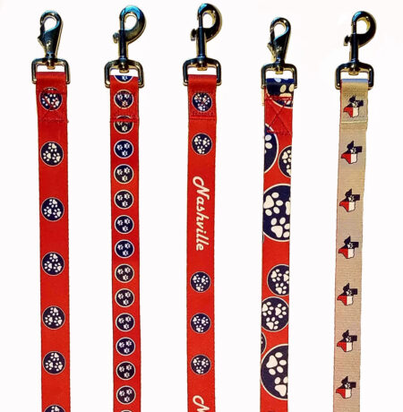 A group of five different colored dog leashes.