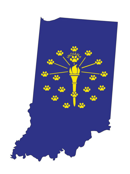 A blue and yellow indiana state flag.