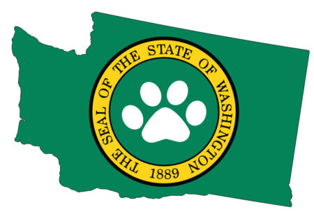 A green state flag with the paw print of a dog.