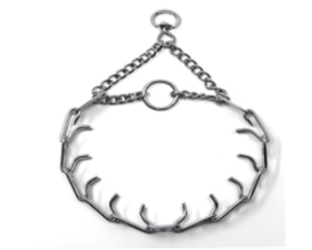 A dog collar with chain and ring on it.