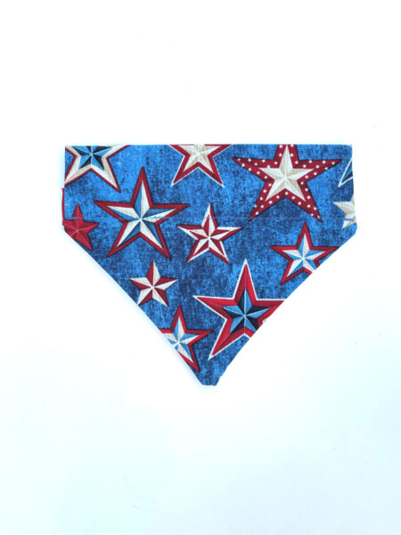 A blue bandana with red, white and blue stars.