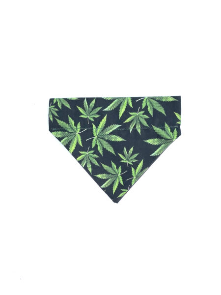 A black bandana with green leaves on it.