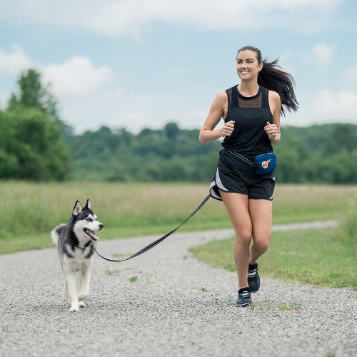 Hands-Free Hikes: Best Dog Leash Belt & Waste Bags