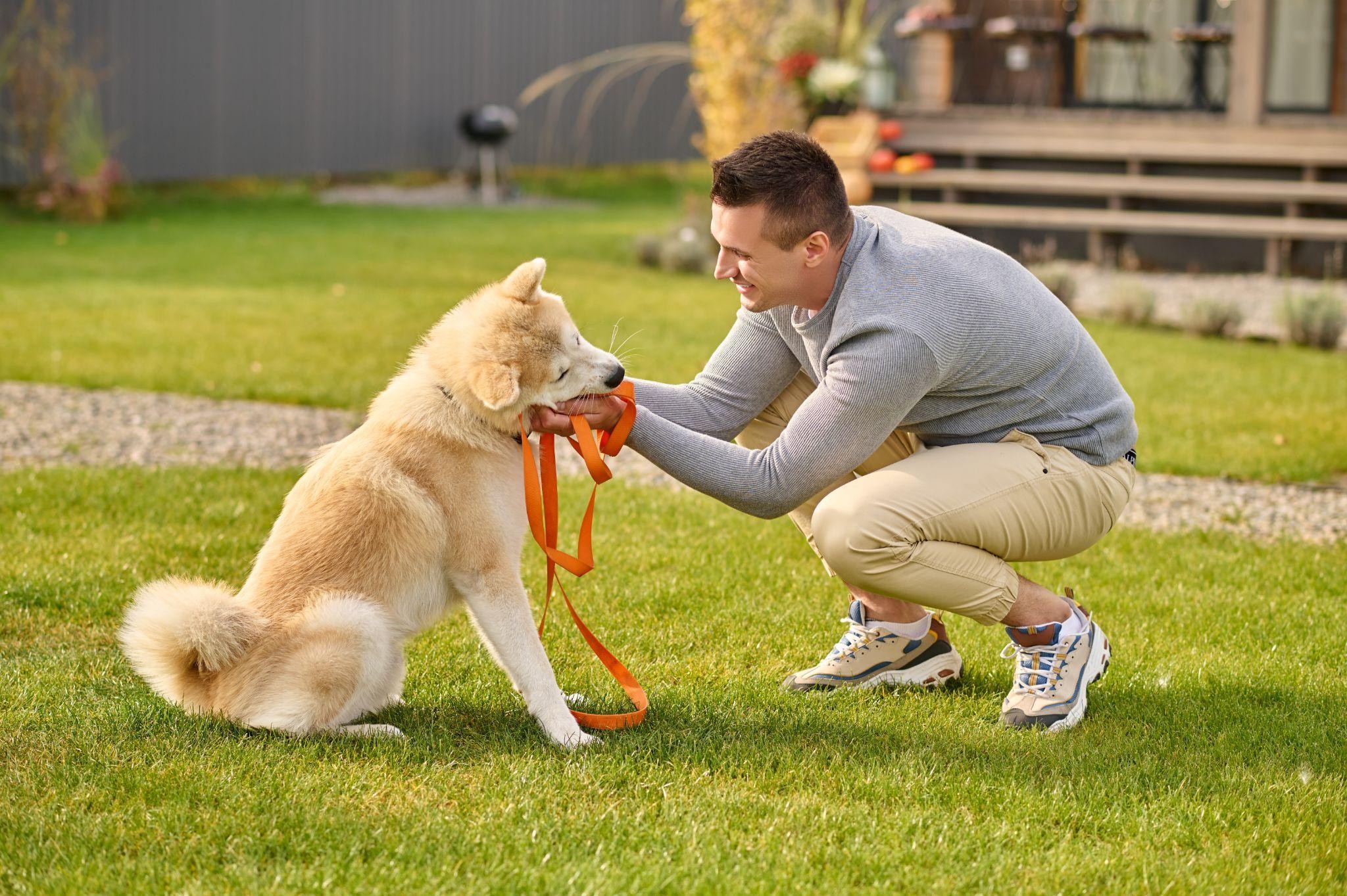 What is a Waist Leash for Running with Your Dog?